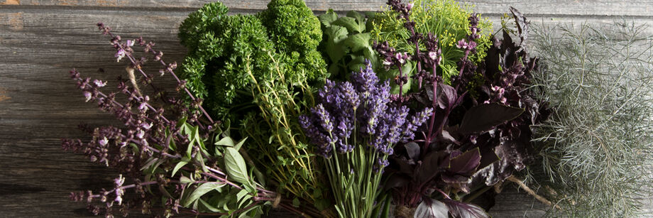 A bouquet of herbs grown from Johnny's herb seeds.