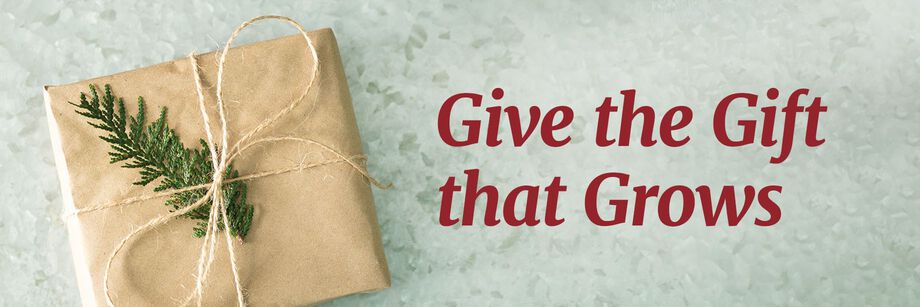 wrapped present.