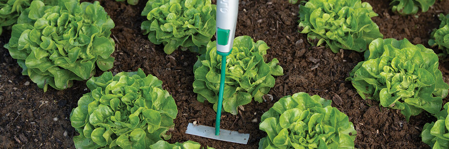 The Connecta&reg; Tool System being used to cultivate around heads of lettuce.