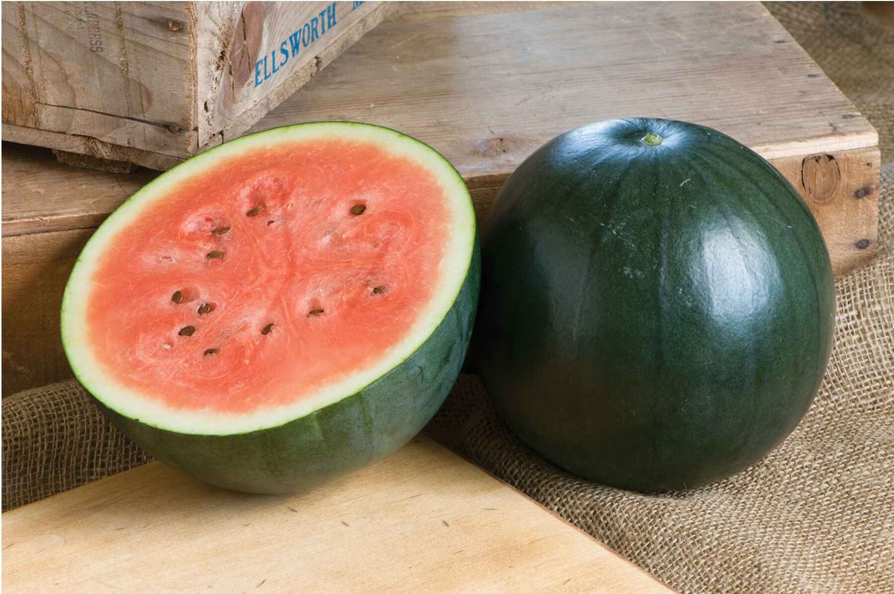Sugar Baby Diploid Watermelons