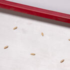 Seed Plate E200 Seed Starting Supplies