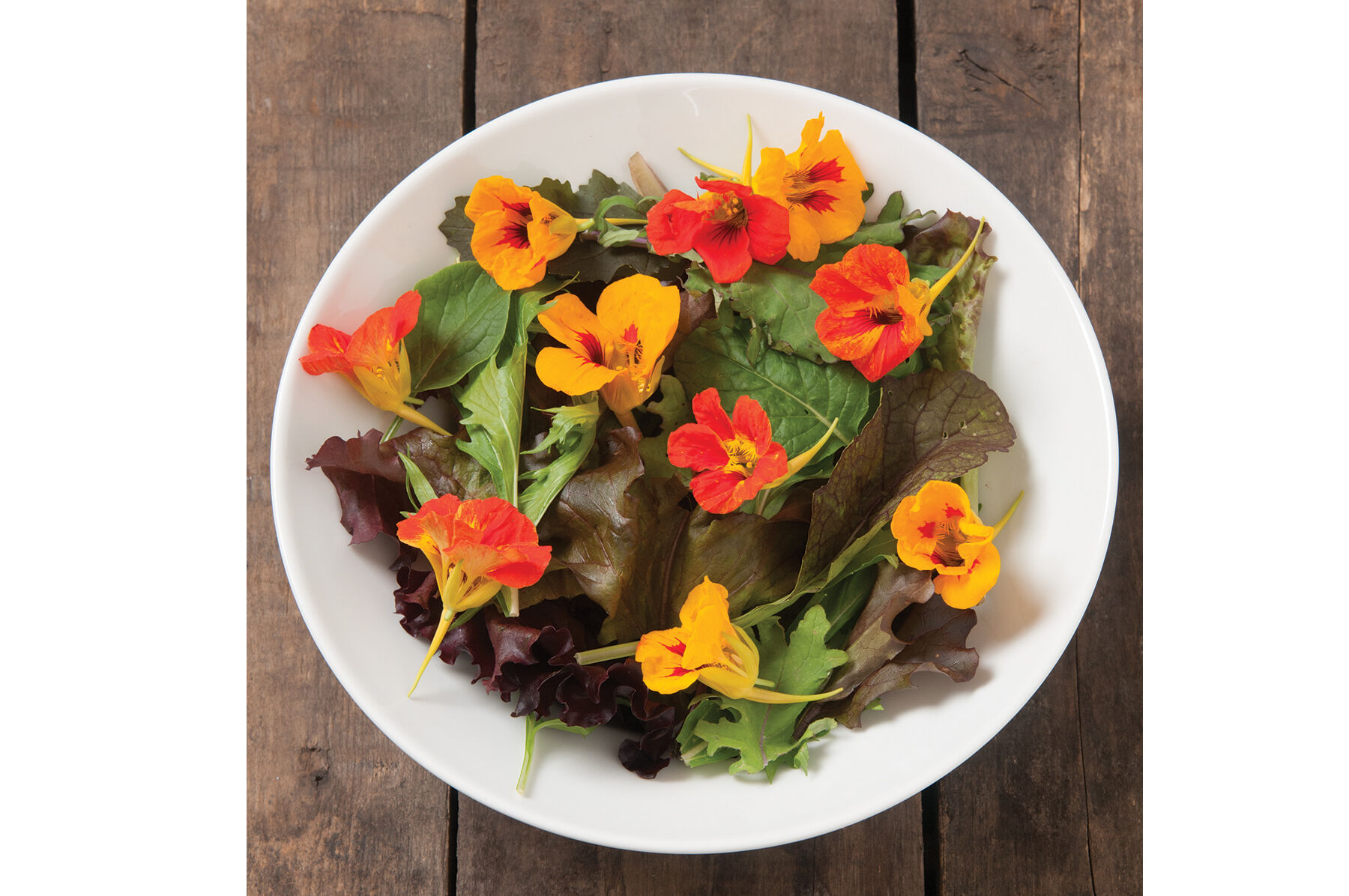 Salad Mix Collection Lettuce Mixes