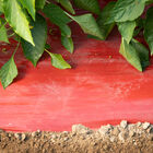 SRM Red Mulch &ndash; 4' x 30' Mulch Films