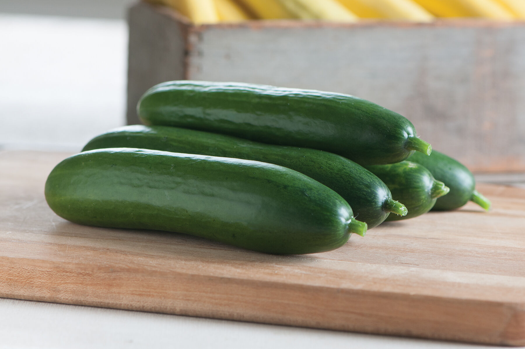 Diva Cucumbers