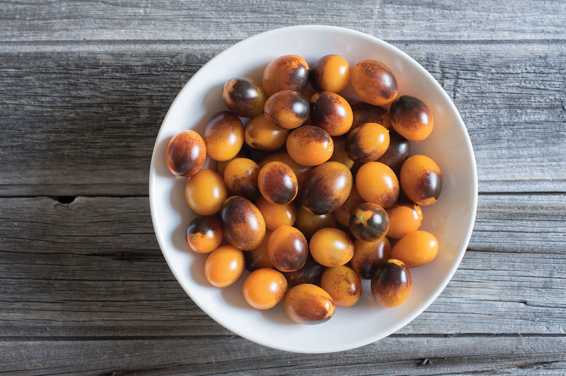 Indigo Kumquat Specialty Tomatoes