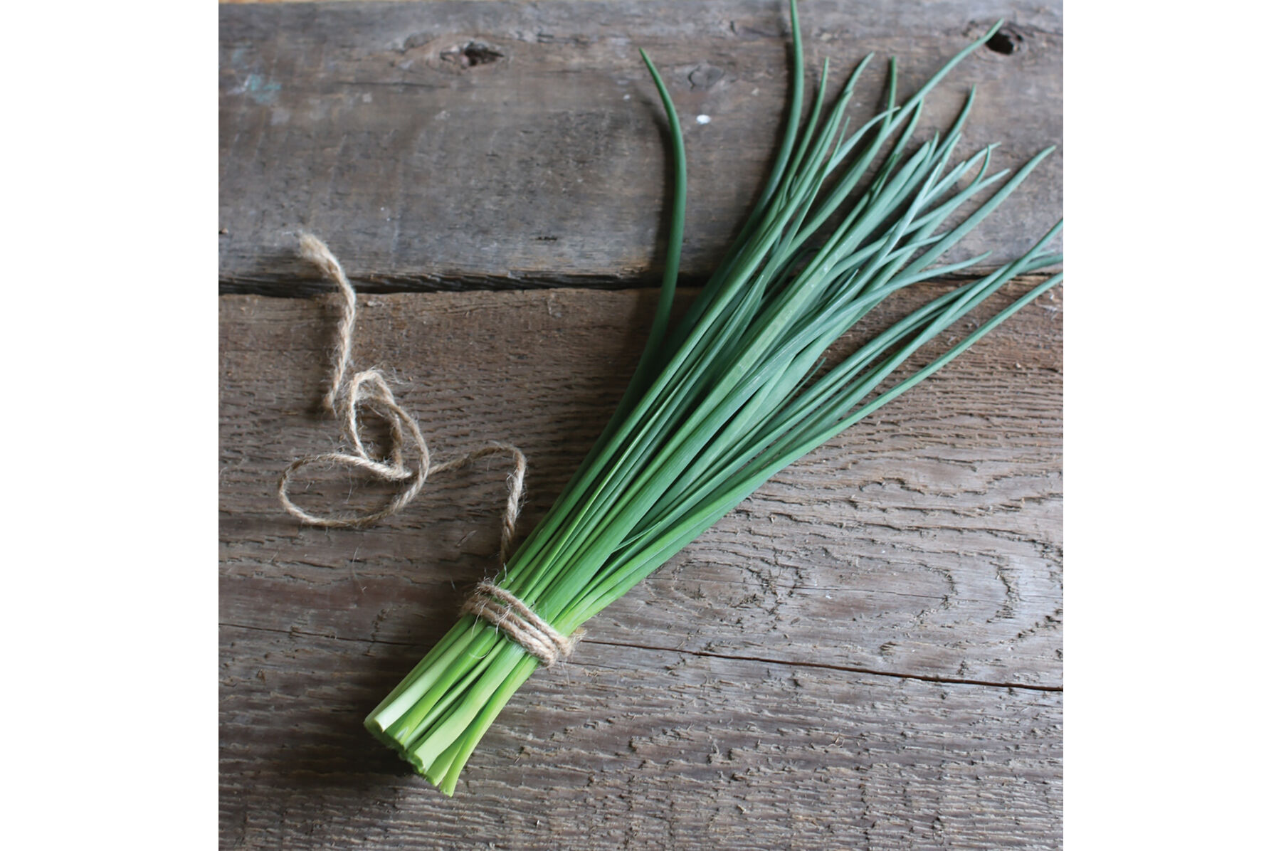 Staro Chives