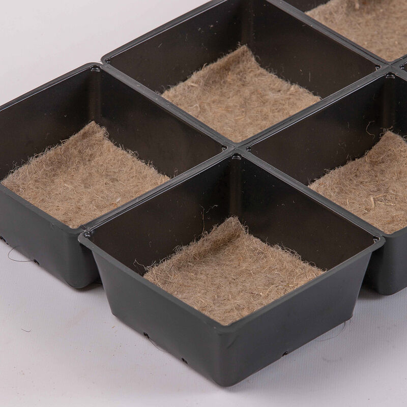 Terrafibre Hemp Grow Mats, 5" x 5" &ndash; 40 Count Microgreens Supplies