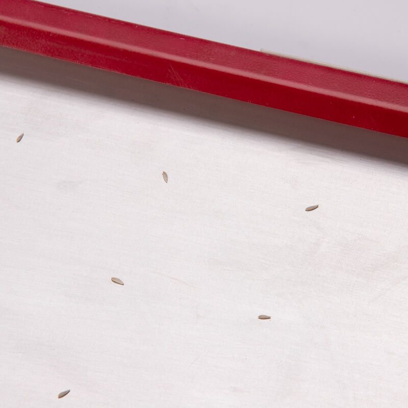 Seed Plate C36 Seed Starting Supplies