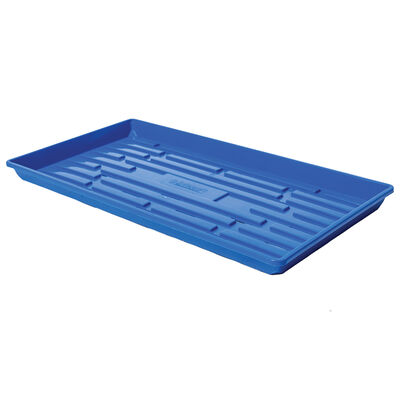 Polypro Shallow Tray (With Holes), Blue &ndash; 4 Count Support Trays