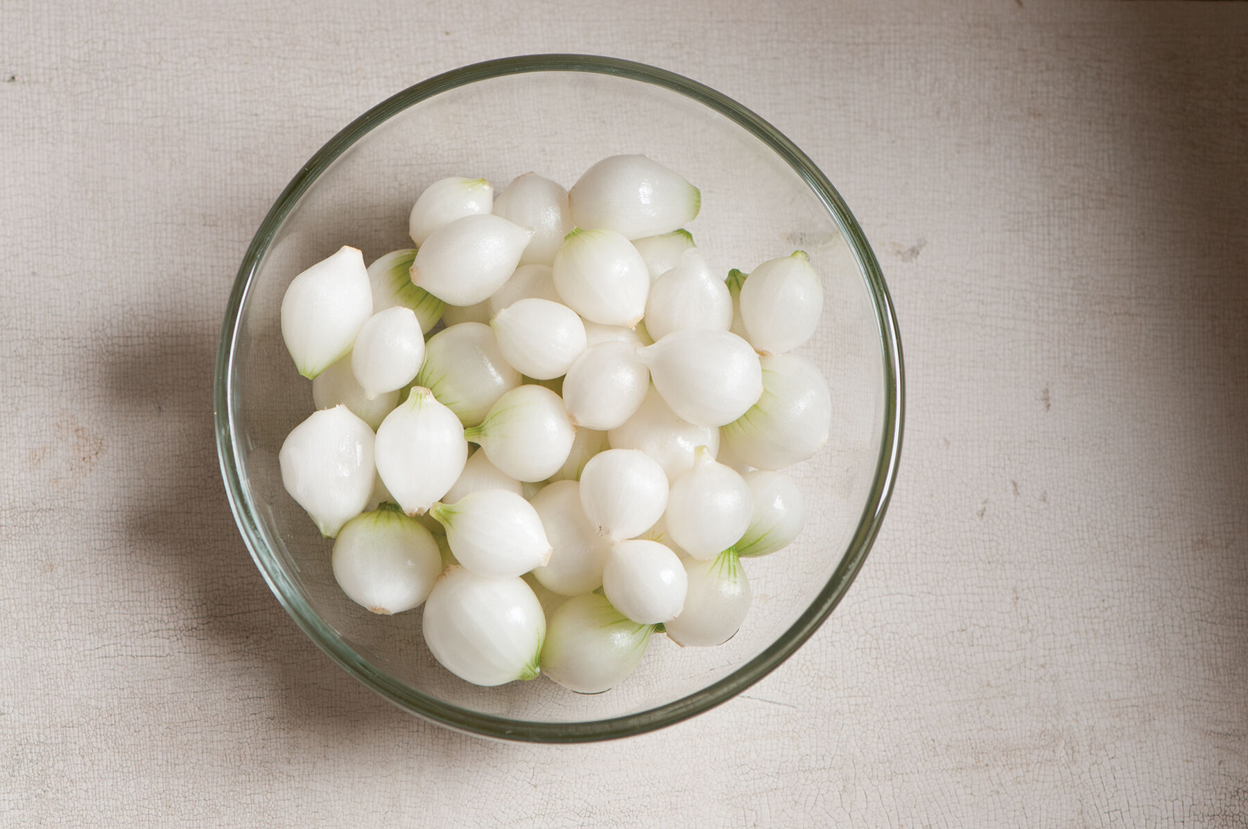 Eclipse Mini Onions