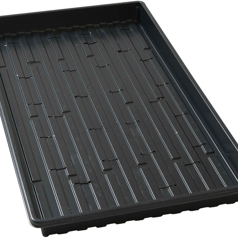 Lightweight Shallow Trays (with Holes) &ndash; 100 Count Support Trays