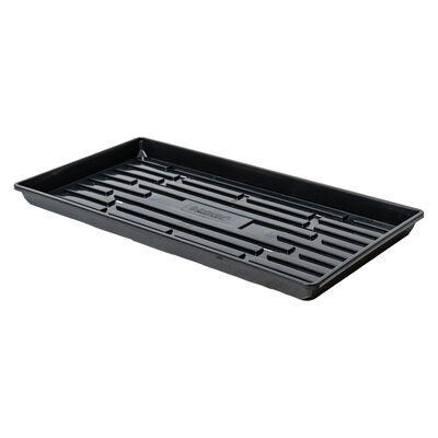 Polypro Shallow Tray (With Holes), Black &ndash; 4 Count Support Trays