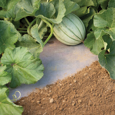 WeedGuardPlus&reg; Paper Mulch &ndash; 24" x 100' Biodegradable & Compostable Mulch
