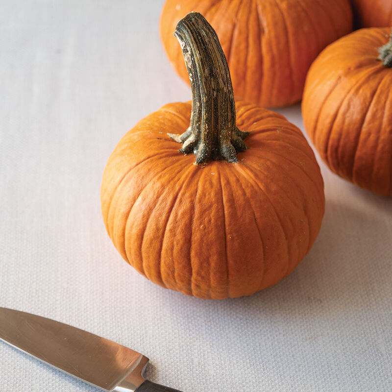 Voodoo Pie Pumpkins