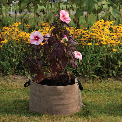 Smart Pot&reg; Natural &ndash; 30 Gal. Grow Bags