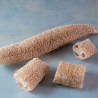 Luffa Gourd Gourds