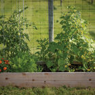 Cedar Raised Garden Bed &ndash; 3' x 6' Raised Beds & Planters