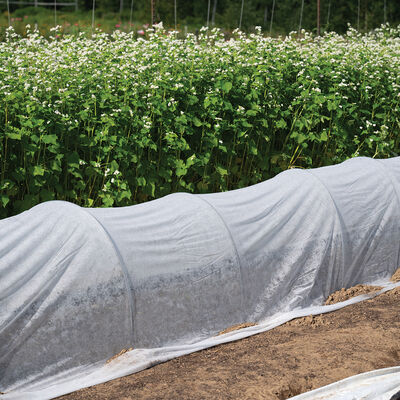Johnny's DuraSpun&reg; 55 &ndash; 10' x 250' DuraSpun&reg;