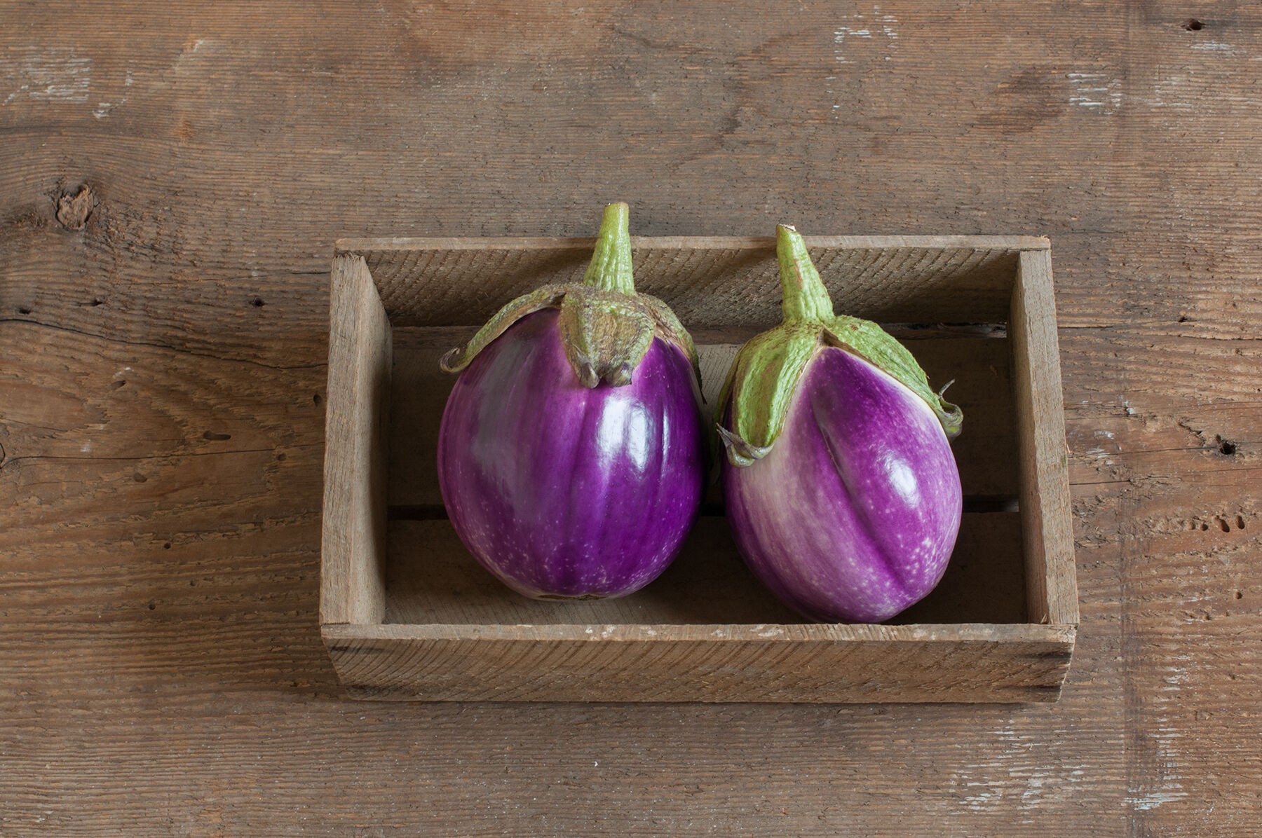 Rosa Bianca Italian Eggplants