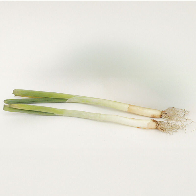 King Richard Leeks