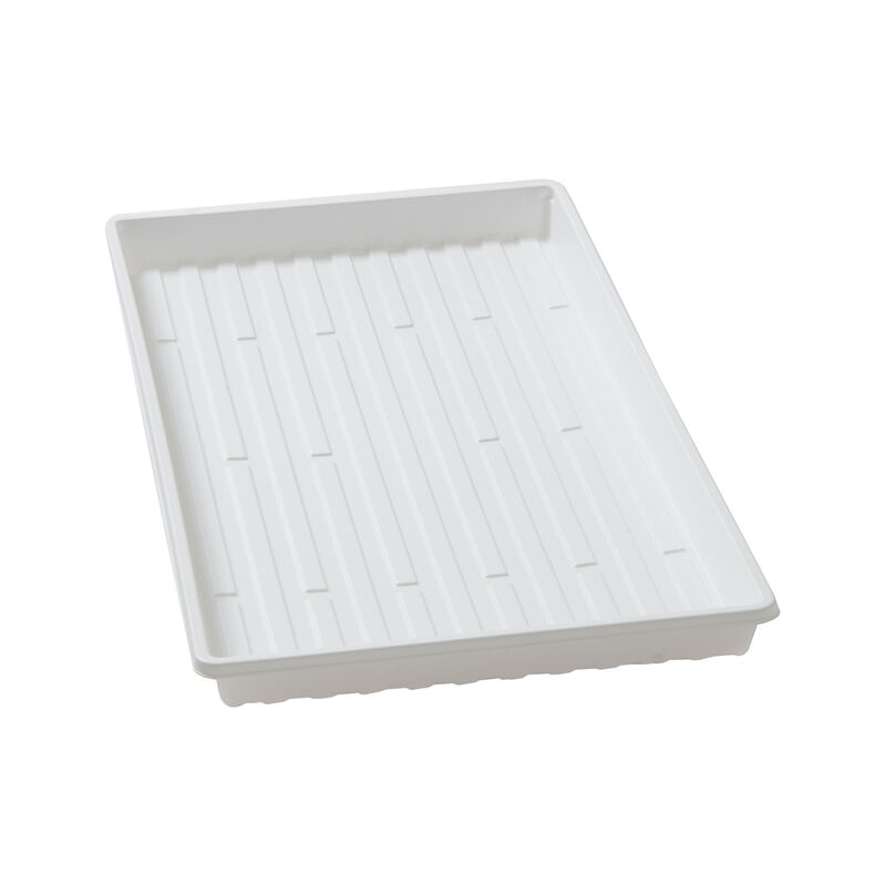 Lightweight Shallow Trays &ndash; 36 Count Support Trays