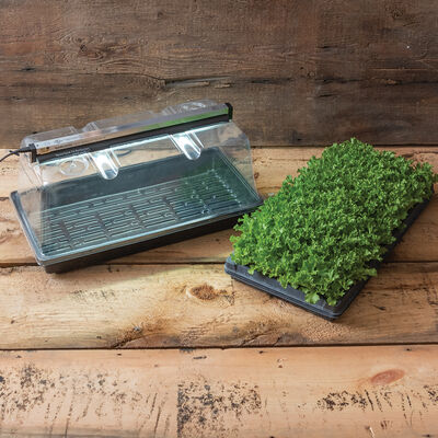 Mini Greenhouse Kit Seed Starter Kits