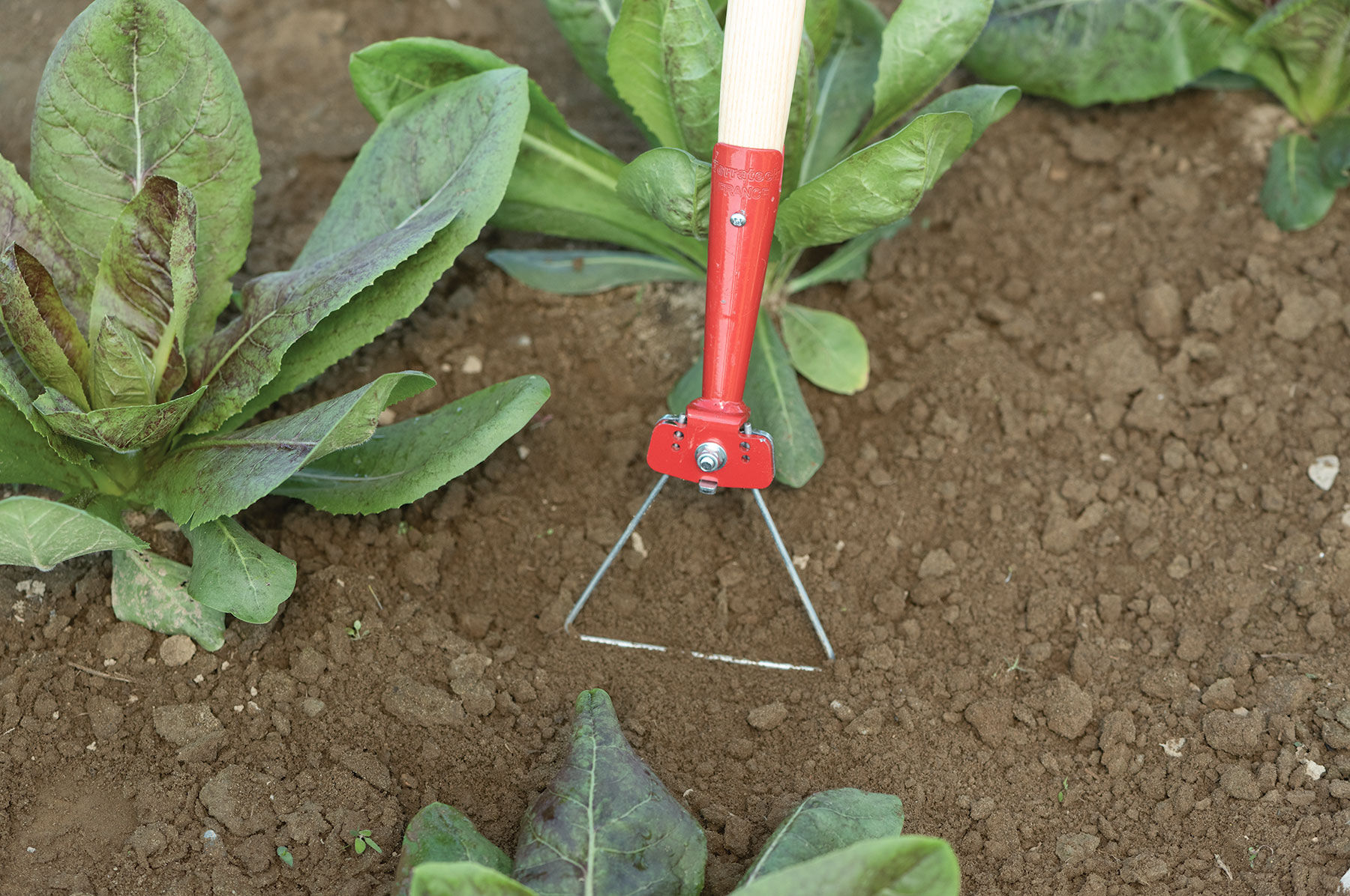 Delta Wire Hoe Eliot Coleman Inspired Tools