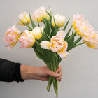 Password Tulips