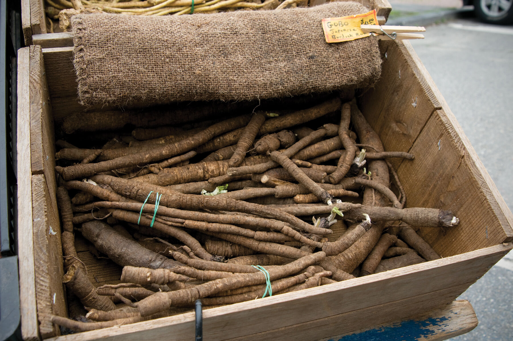 Chiko Burdock