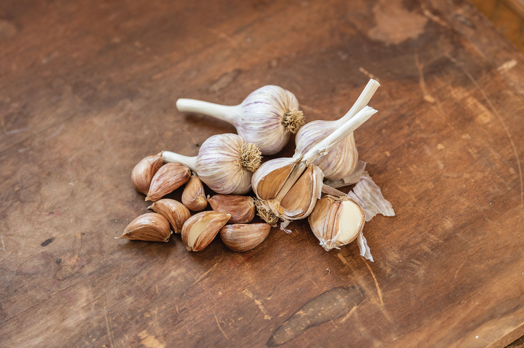 German Red Garlic