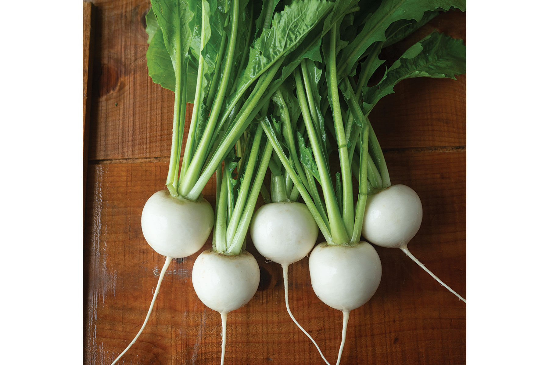 Hakurei Turnips