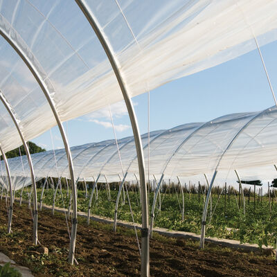 Tufflite IV&trade; &ndash; 32' x 100' Tufflite&trade;