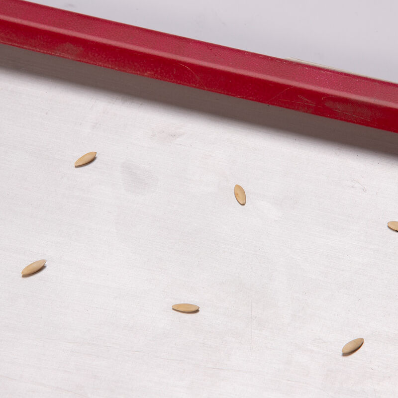Seed Plate E36 Seed Starting Supplies