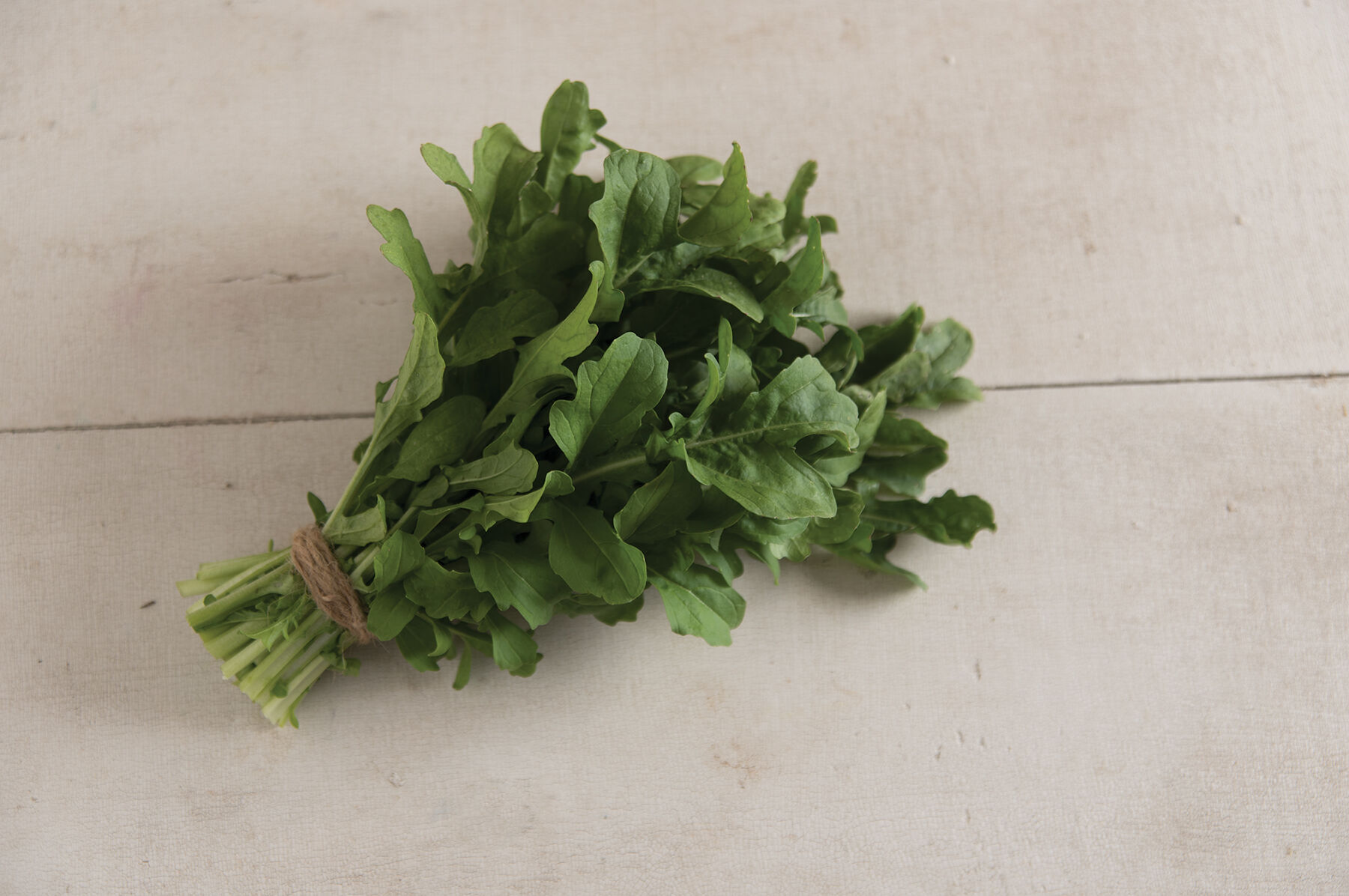 Esmee Arugula (Roquette)