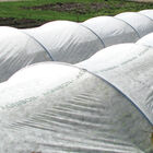 Agribon+ AG-19 &ndash; 10' x 500' Agribon