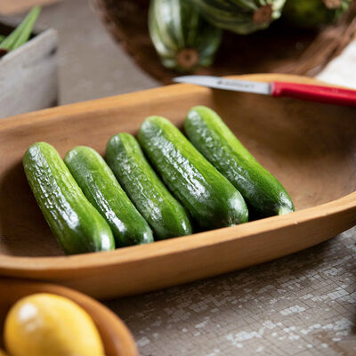 Picolino Seedless and Thin-skinned Cucumbers