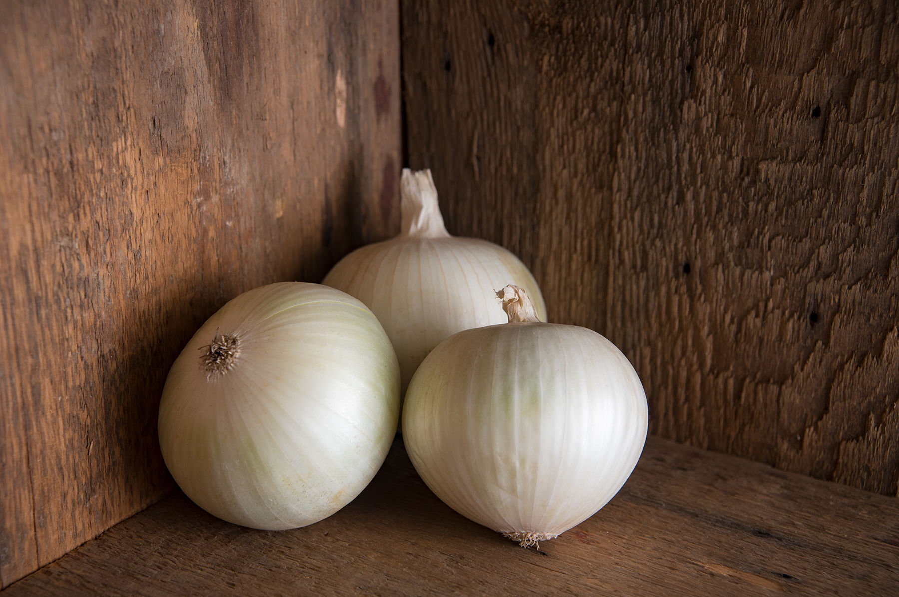 Sierra Blanca Onion Plants & Sets
