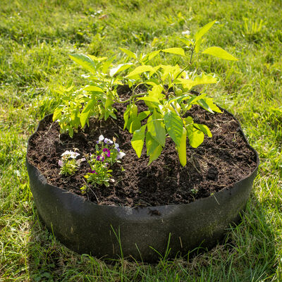 Big Bag Bed &ndash; Mini Raised Beds & Planters