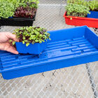 Polypro 5x5 Insert Pots &ndash; Blue, 8 Count Plastic Pots