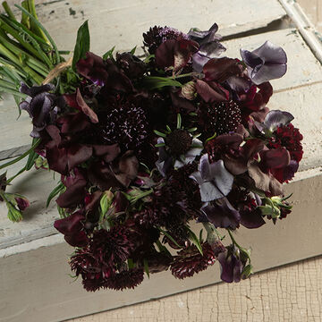 null Black