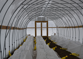 row cover over crops