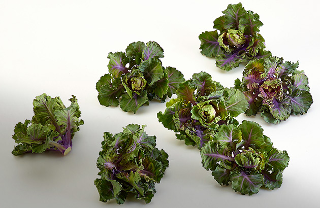 Kalettes &mdash; from Johnny's